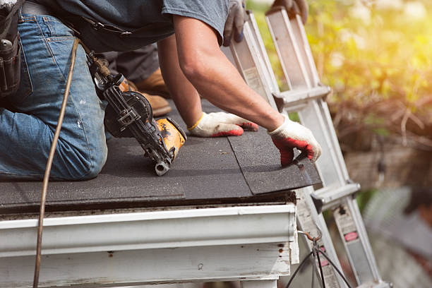 Best Roof Gutter Cleaning  in Molalla, OR